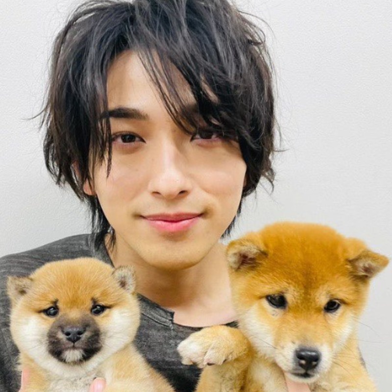 横浜流星の結婚は本当？噂の真相とプロフィールを全解説