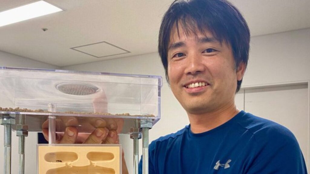 アリ探求家・島田拓とは何者？年齢や年収、アリとの軌跡を解説