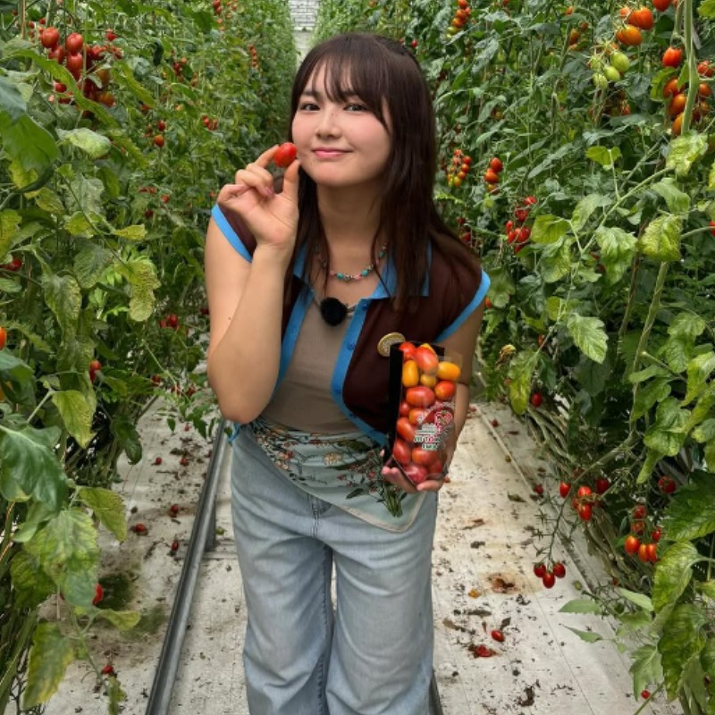 フルーツ狩りをしている箭内夢菜の画像