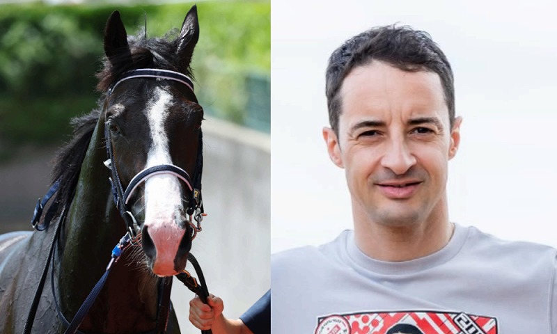 天皇賞・秋 マスカレードボール ルメール新コンビ徹底解剖