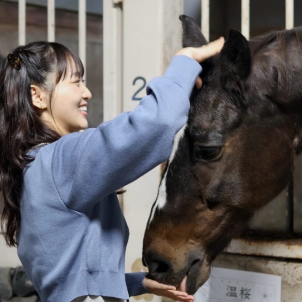 厩舎にて青いニットを着用した菅井友香が、穏やかな表情で茶色の馬の鼻先を優しく撫でている横顔のショット。